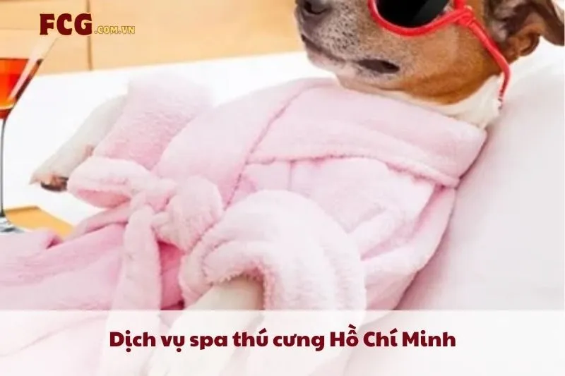 Dịch vụ spa thú cưng Hồ Chí Minh 2025: Top 12 địa chỉ chăm sóc chất lượng